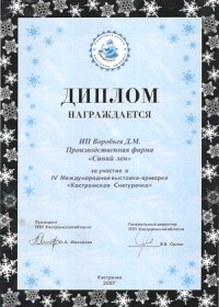Кострома, 2007 г. 